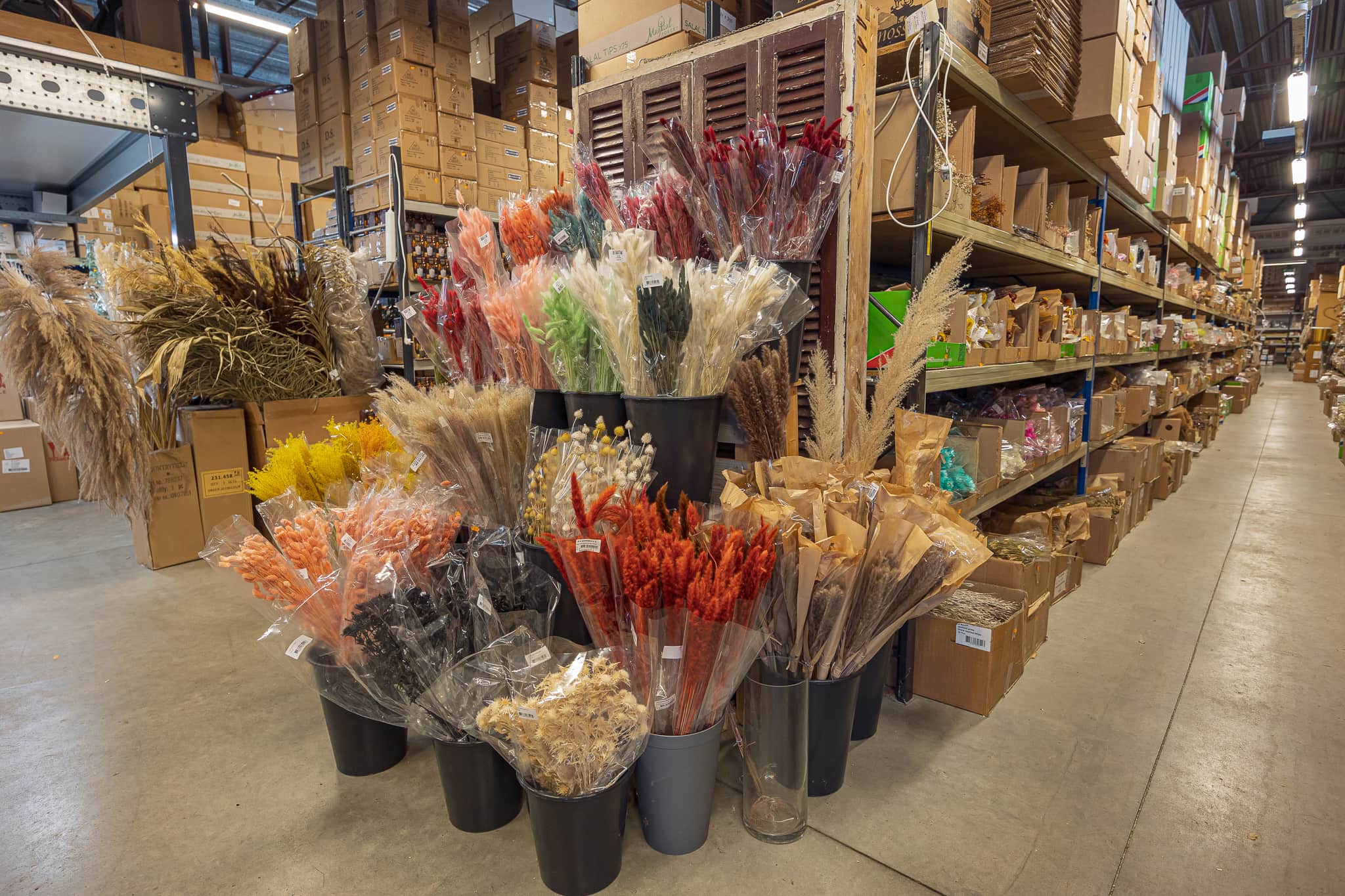 Droogbloemen en exoten kopen in Maastricht bij Schuitemaker BV